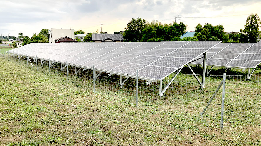 太陽光発電所の除草作業