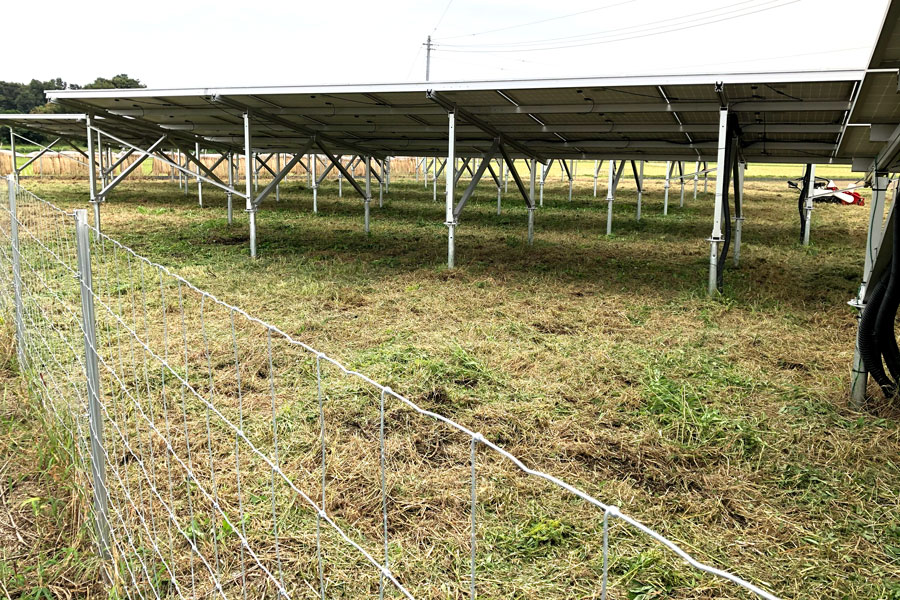 太陽光発電所の除草作業後