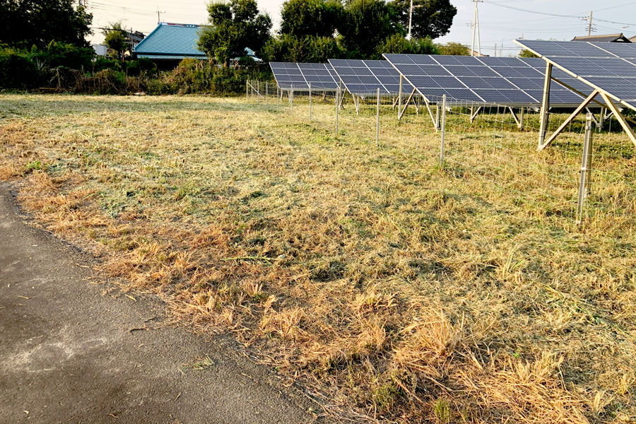 太陽光発電所の除草作業後