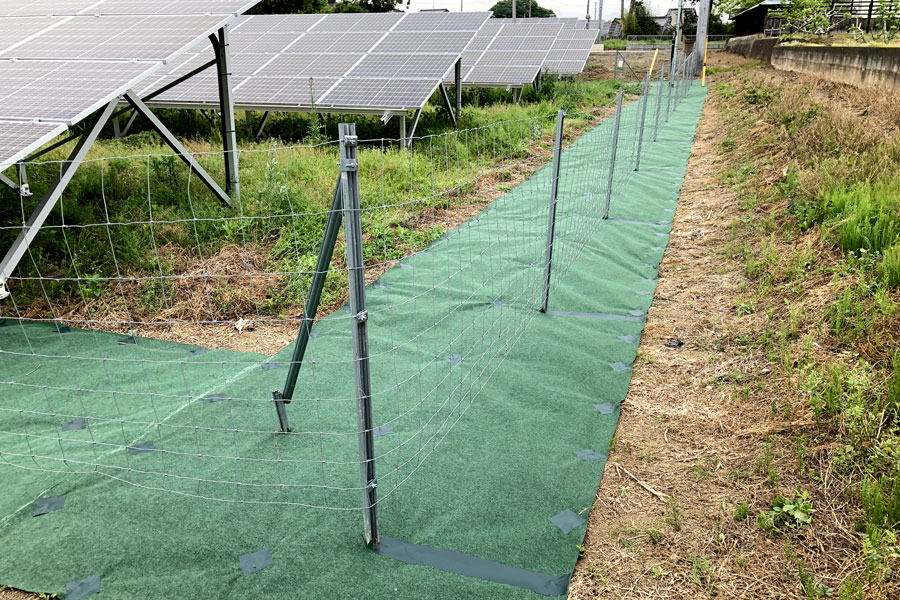 太陽光発電所の除草作業後